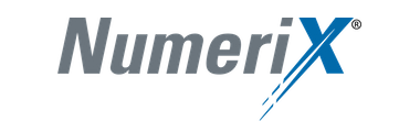 Enterprise Financial Software Licensing Case Study: Numerix