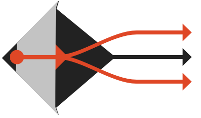flexible software license manager